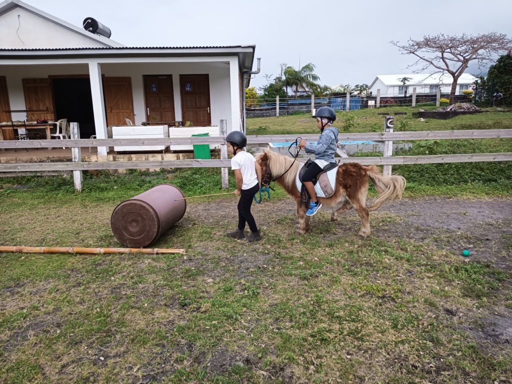 Séance à poney dans la carrière de la ferme