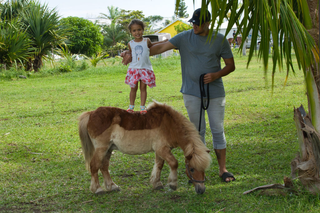 Petite fille debout sur un poney shetland, accompagnée d'un adulte